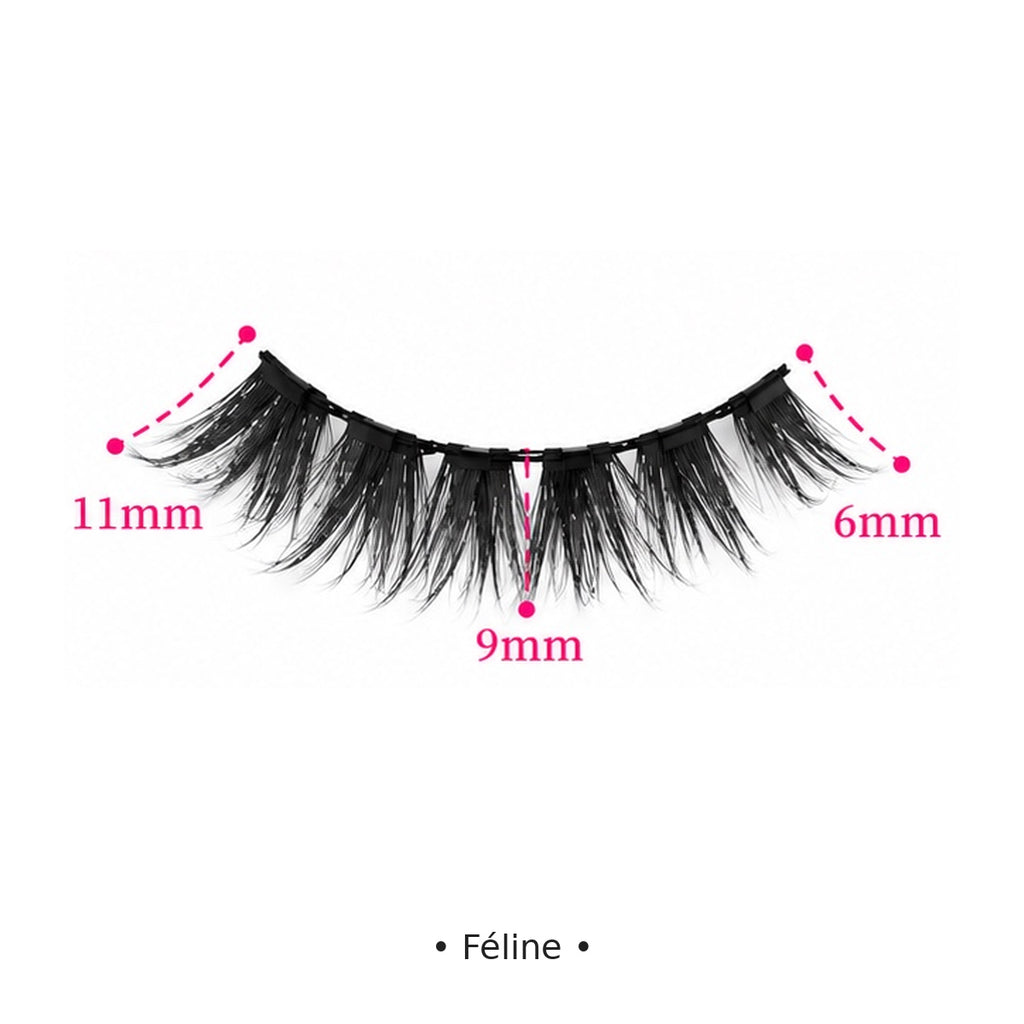 Féline — dimensions — Badizera Lashes