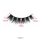 Féline — dimensions — Badizera Lashes