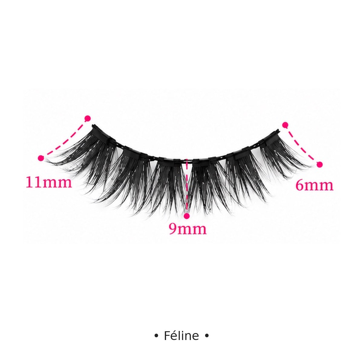 Féline — dimensions — Badizera Lashes