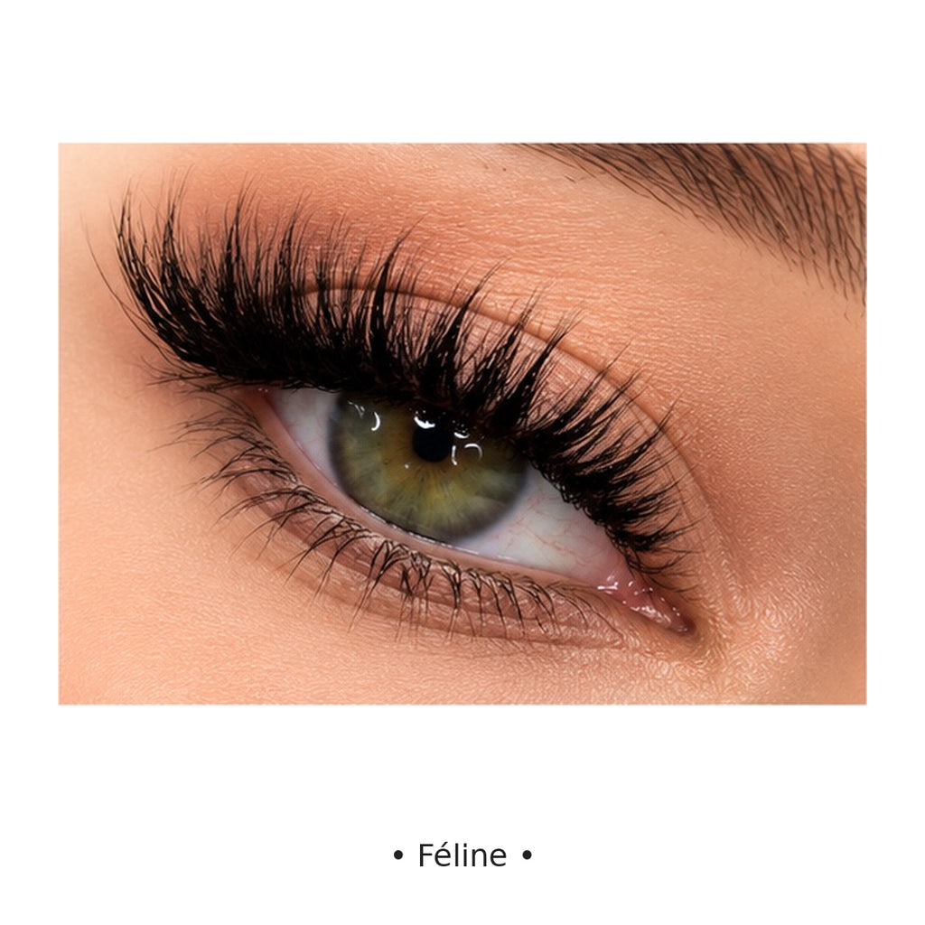 Féline — regard — Badizera Lashes