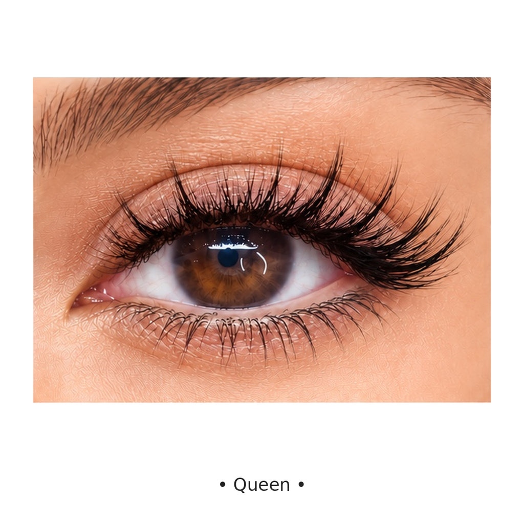 Queen — regard — Badizera Lashes